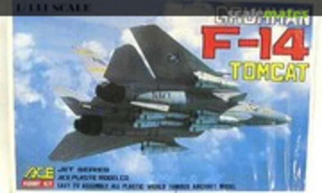 1:144 Grumman F-14 Tomcat (ACE Hobby Kit 300)