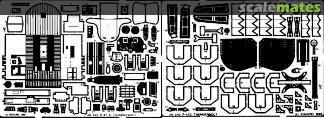 Boxart P-47 D Thunderbolt 48 240 Eduard