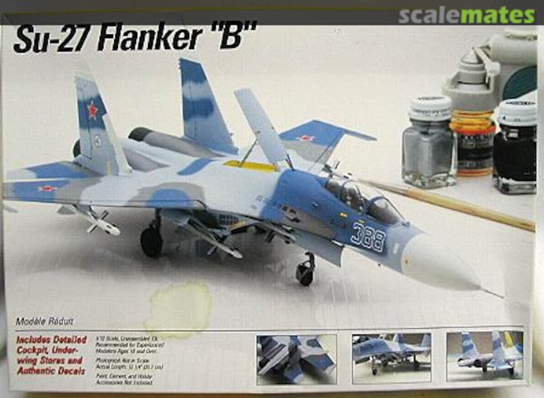 Boxart Su-27 Flanker "B" 655 Testors