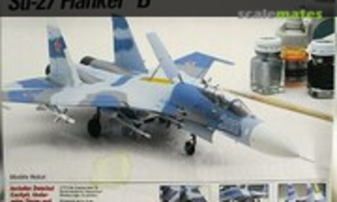 1:72 Su-27 Flanker &quot;B&quot; (Testors 655)