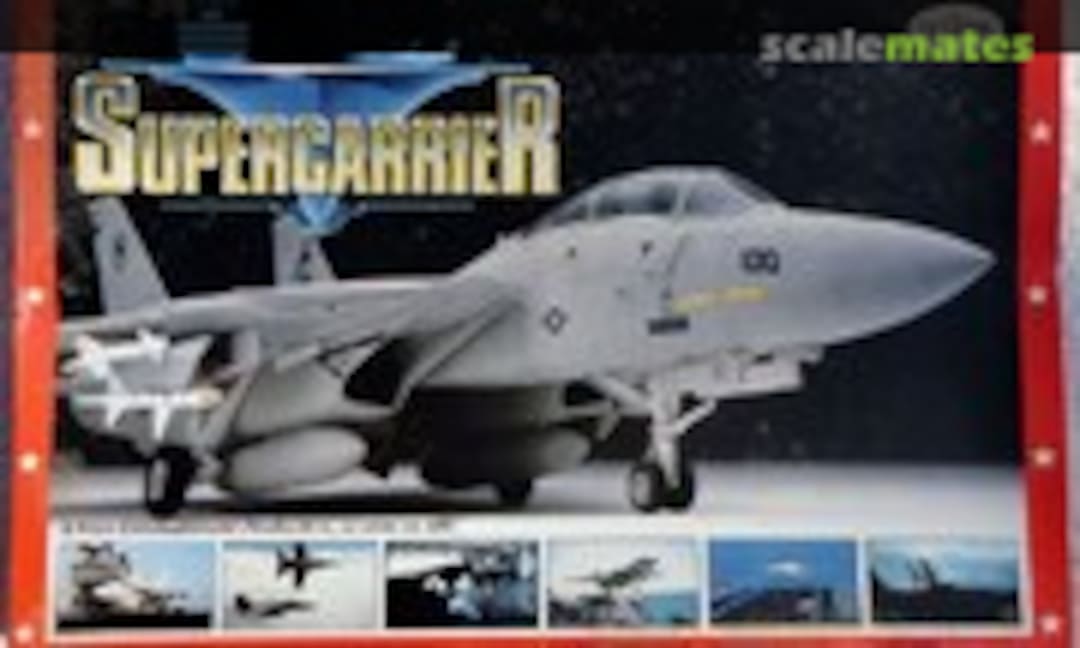 1:72 Supercarrier F-14A Tomcat (Testors 283)