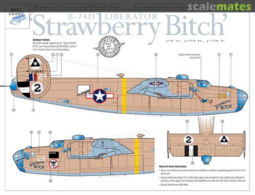 Boxart B-24D Liberator 'Strawberry Bitch' 48-019 Mike Grant Decals