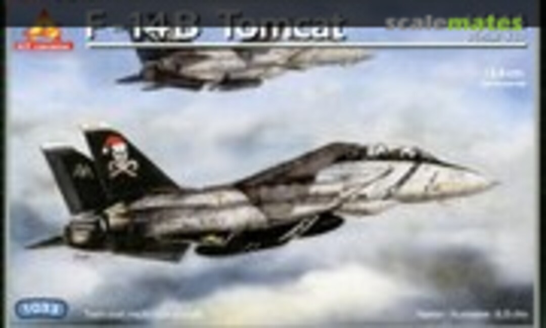 1:144 F-14B Tomcat (Ace Corporation 1033)