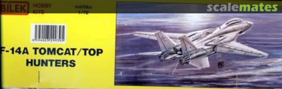 Boxart F-14A Tomcat/Top Hunters 939 Bilek