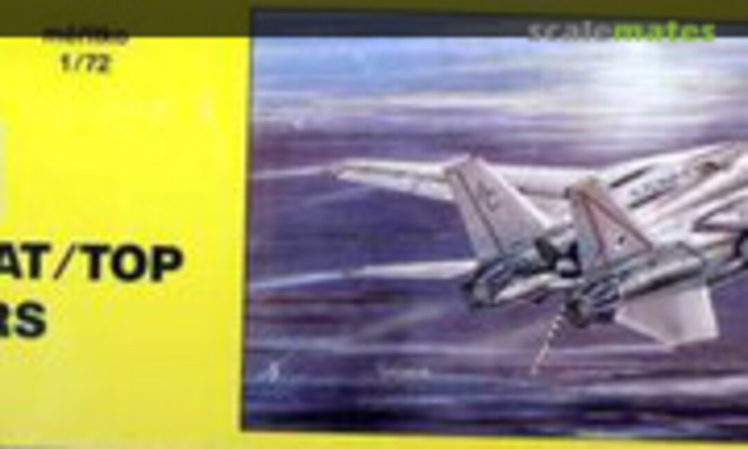 1:72 F-14A Tomcat/Top Hunters (Bilek 939)