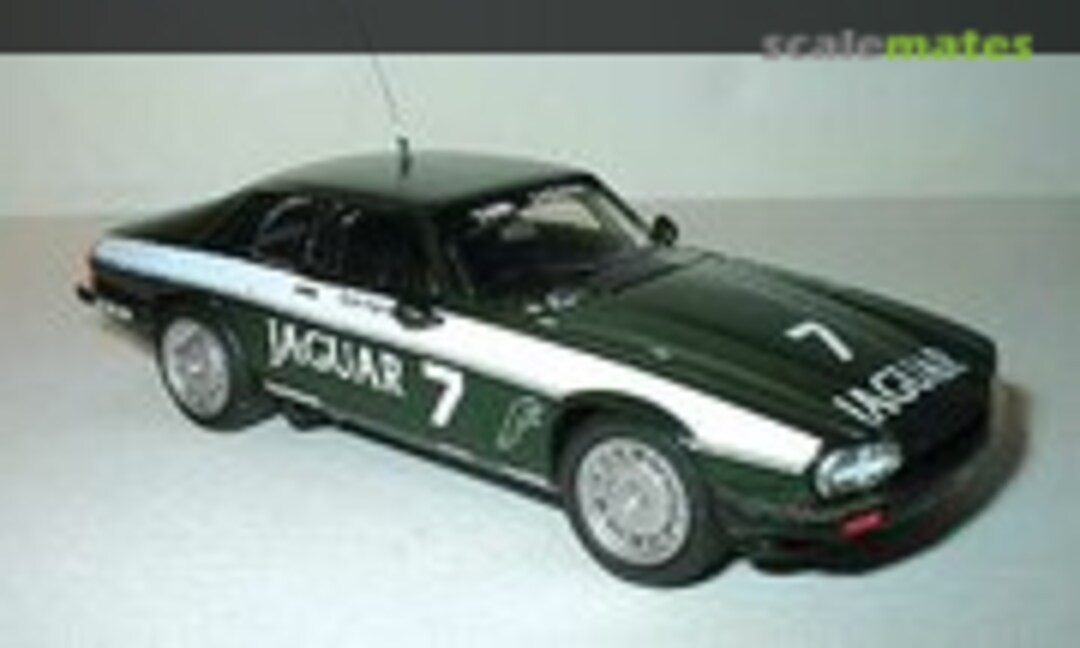 Jaguar XJS TWR (Automodelli Studio 43030A)