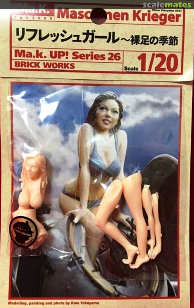 Boxart Female SAFS Pilot Series 26 Brick Works