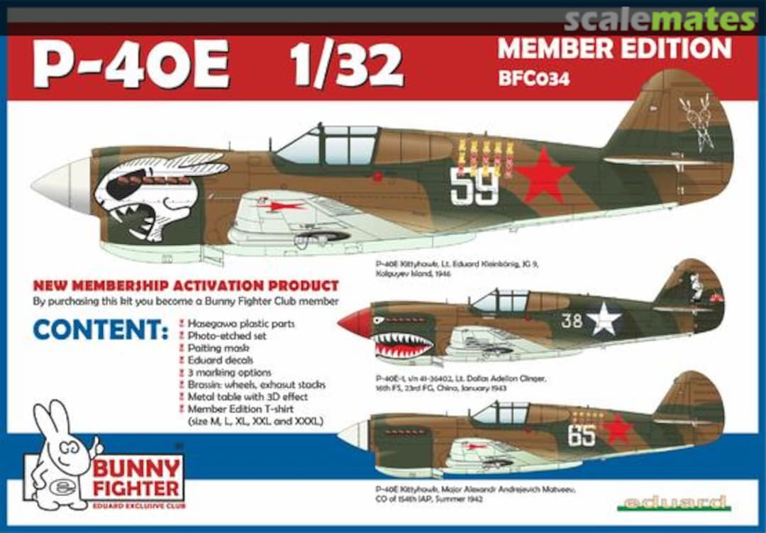 Boxart P-40E BFC034-L Eduard