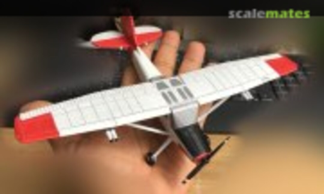 1:48 Cessna L-19 Bird Dog (ivangonzalezm 1120037)