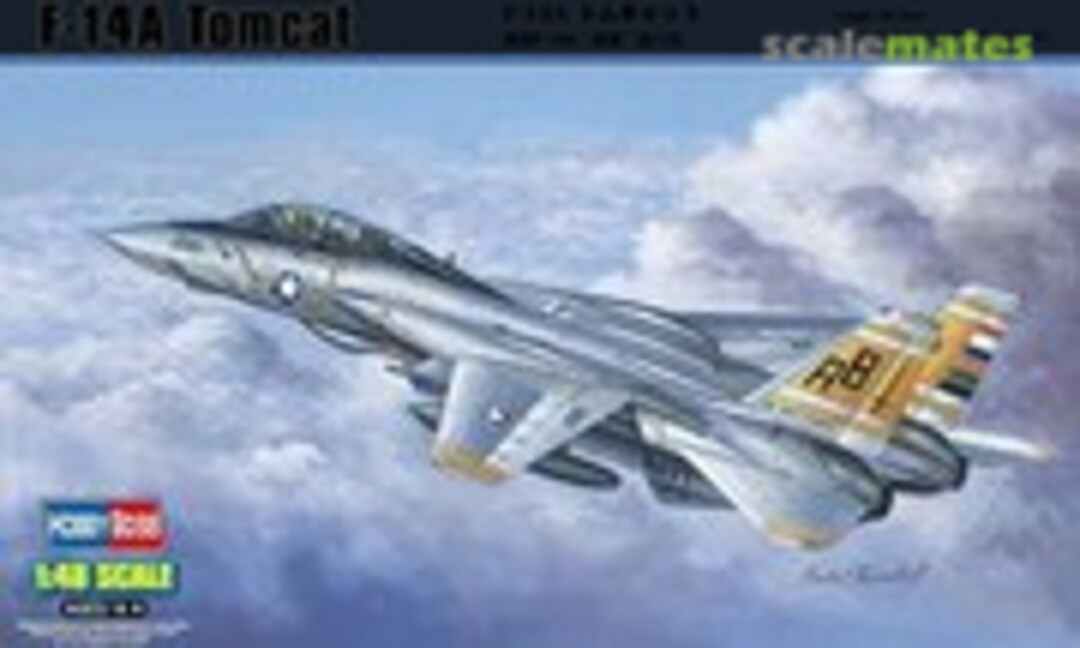 1:48 F-14A Tomcat (HobbyBoss 80366)