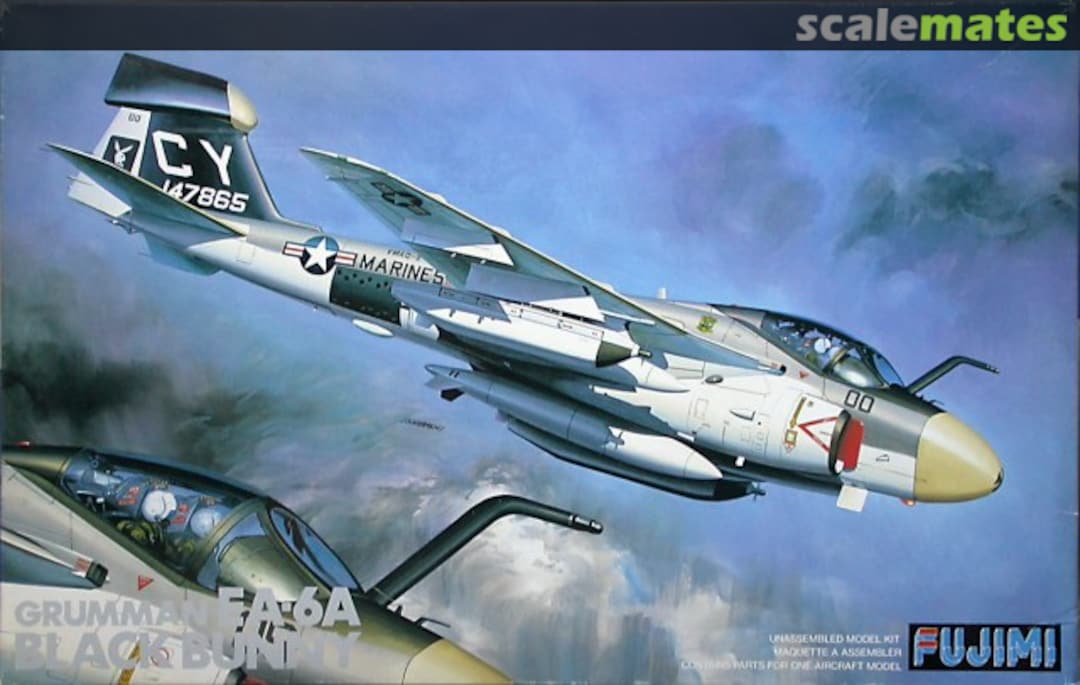 Boxart Grumman EA-6A Black Bunny 27014 Fujimi