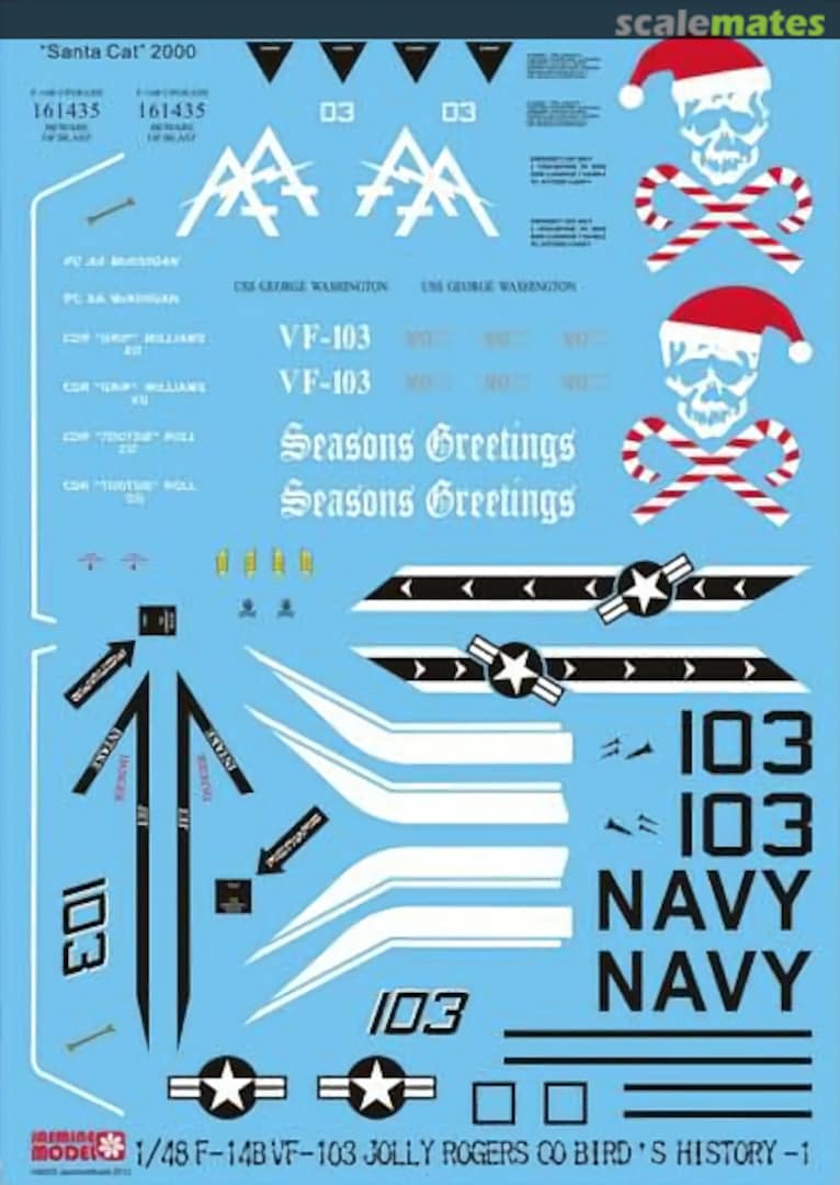 Boxart F-14B Tomcat 148005 Jasmine Model